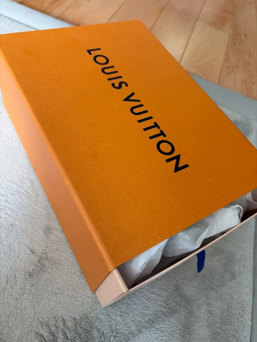 Authentic Louis Vuitton ballerina sneakers